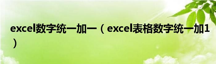 excel数字统一加一（excel表格数字统一加1）