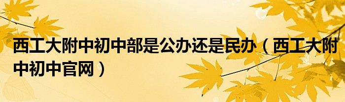 西工大附中初中部是公办还是民办（西工大附中初中官网）