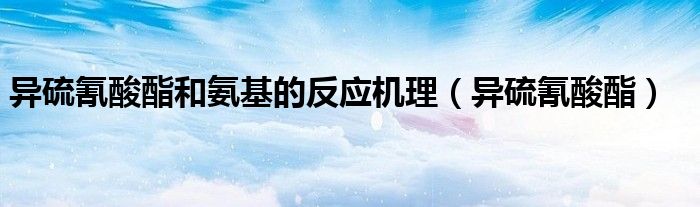 异硫氰酸酯和氨基的反应机理（异硫氰酸酯）