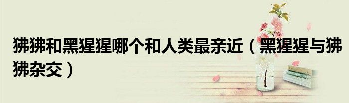狒狒和黑猩猩哪个和人类最亲近（黑猩猩与狒狒杂交）