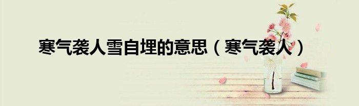 寒气袭人雪自埋的意思（寒气袭人）