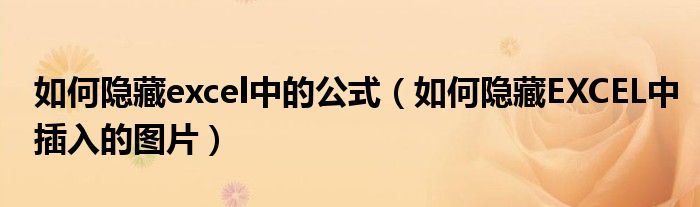 如何隐藏excel中的公式（如何隐藏EXCEL中插入的图片）