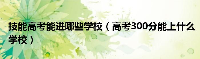 技能高考能进哪些学校（高考300分能上什么学校）