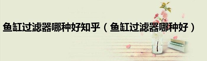 鱼缸过滤器哪种好知乎（鱼缸过滤器哪种好）