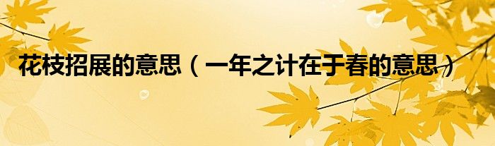 花枝招展的意思（一年之计在于春的意思）