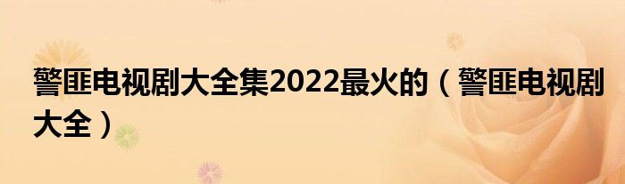 警匪电视剧大全集2022最火的（警匪电视剧大全）