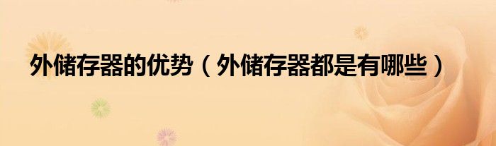 外储存器的优势（外储存器都是有哪些）