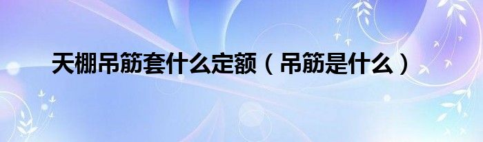 天棚吊筋套什么定额（吊筋是什么）