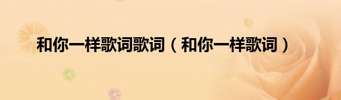 和你一样歌词歌词（和你一样歌词）