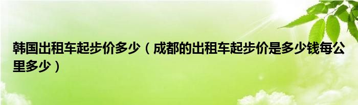 韩国出租车起步价多少（成都的出租车起步价是多少钱每公里多少）