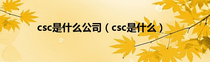 csc是什么公司（csc是什么）