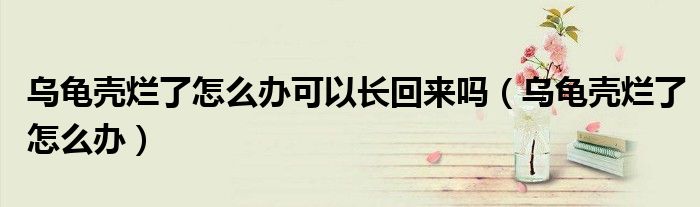 乌龟壳烂了怎么办可以长回来吗（乌龟壳烂了怎么办）