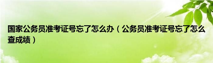 国家公务员准考证号忘了怎么办（公务员准考证号忘了怎么查成绩）