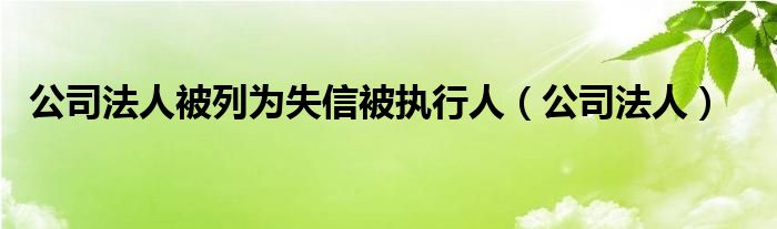 公司法人被列为失信被执行人（公司法人）