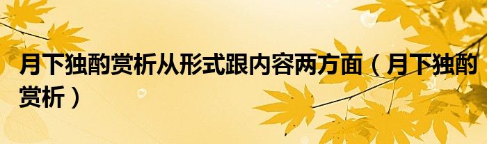 月下独酌赏析从形式跟内容两方面（月下独酌赏析）