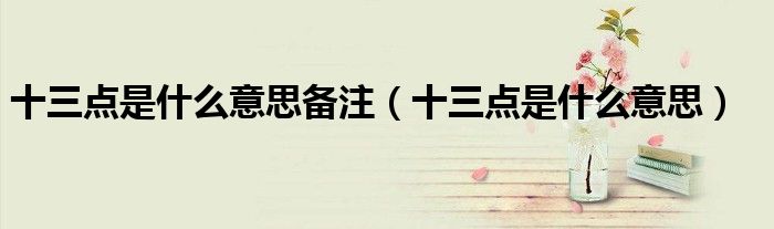十三点是什么意思备注（十三点是什么意思）