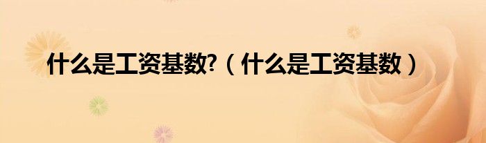 什么是工资基数?（什么是工资基数）