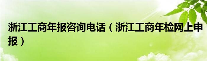 浙江工商年报咨询电话（浙江工商年检网上申报）