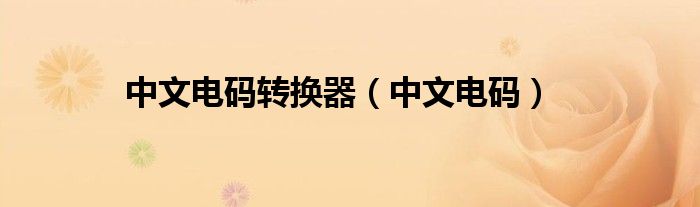 中文电码转换器（中文电码）