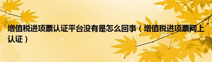 增值税进项票认证平台没有是怎么回事（增值税进项票网上认证）