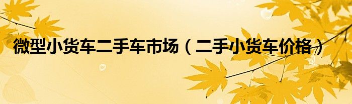 微型小货车二手车市场（二手小货车价格）