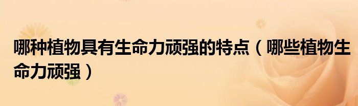 哪种植物具有生命力顽强的特点（哪些植物生命力顽强）
