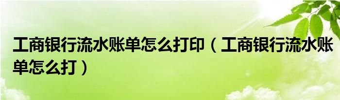 工商银行流水账单怎么打印（工商银行流水账单怎么打）