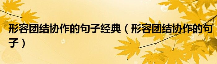 形容团结协作的句子经典（形容团结协作的句子）