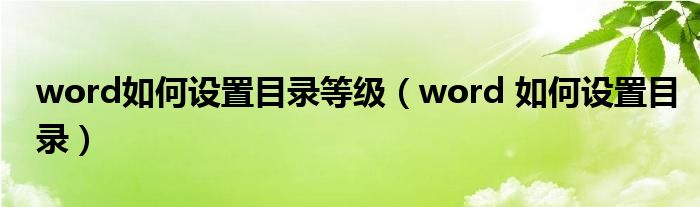 word如何设置目录等级（word 如何设置目录）