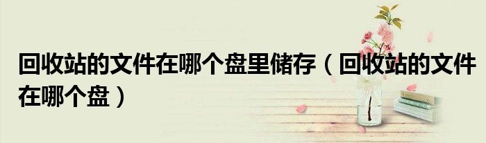 回收站的文件在哪个盘里储存（回收站的文件在哪个盘）