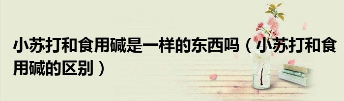 小苏打和食用碱是一样的东西吗（小苏打和食用碱的区别）