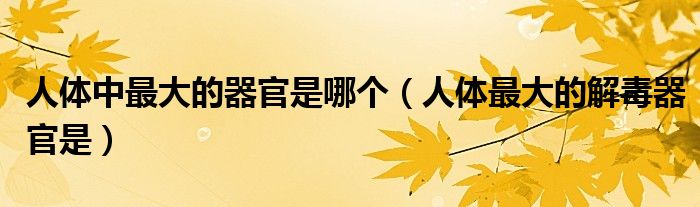 人体中最大的器官是哪个（人体最大的解毒器官是）