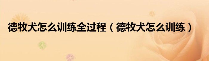 德牧犬怎么训练全过程（德牧犬怎么训练）