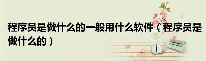 程序员是做什么的一般用什么软件（程序员是做什么的）