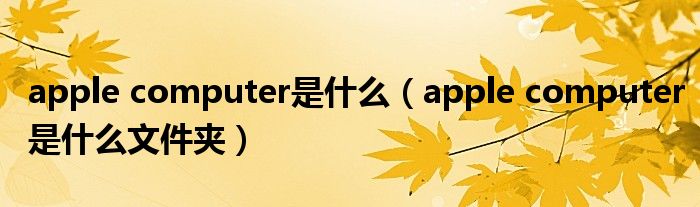 apple computer是什么（apple computer是什么文件夹）