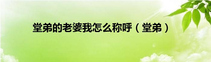 堂弟的老婆我怎么称呼（堂弟）