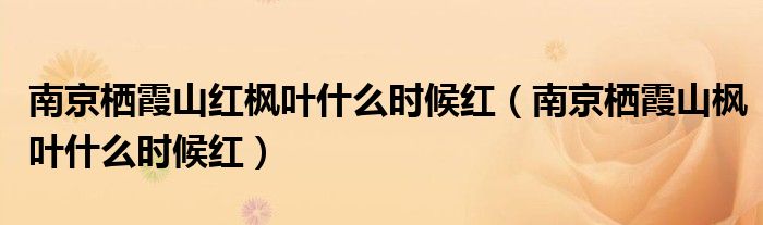 南京栖霞山红枫叶什么时候红（南京栖霞山枫叶什么时候红）