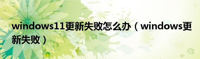 windows11更新失败怎么办（windows更新失败）
