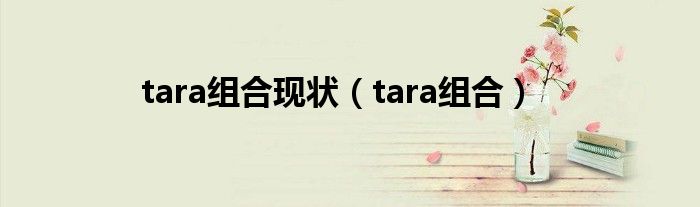tara组合现状（tara组合）