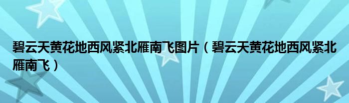 碧云天黄花地西风紧北雁南飞图片（碧云天黄花地西风紧北雁南飞）