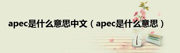 apec是什么意思中文（apec是什么意思）