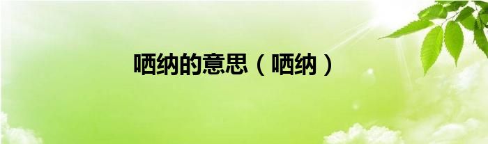 哂纳的意思（哂纳）