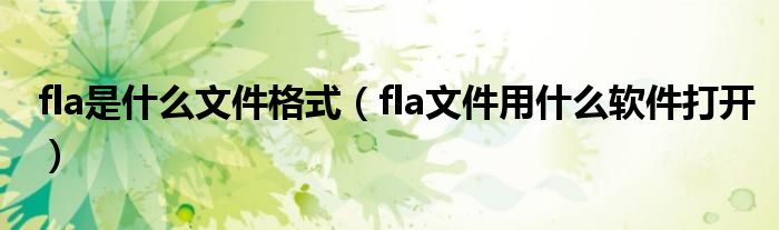 fla是什么文件格式（fla文件用什么软件打开）