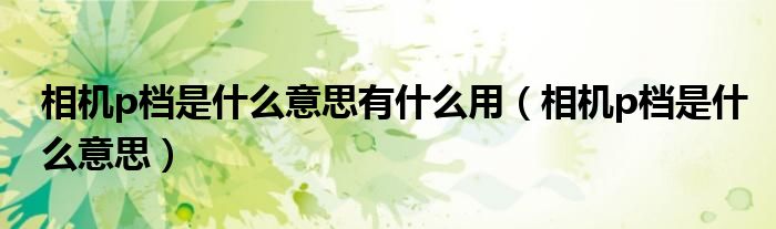 相机p档是什么意思有什么用（相机p档是什么意思）