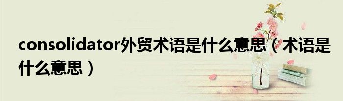 consolidator外贸术语是什么意思（术语是什么意思）