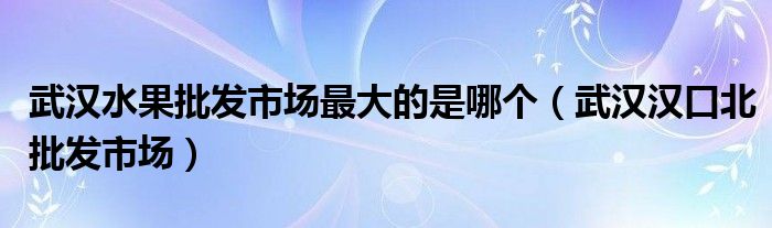 武汉水果批发市场最大的是哪个（武汉汉口北批发市场）