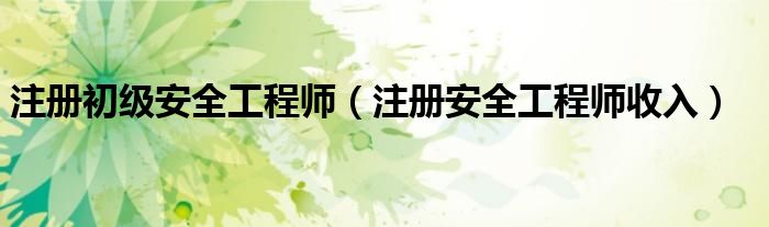 注册初级安全工程师（注册安全工程师收入）