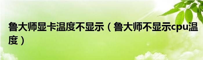 鲁大师显卡温度不显示（鲁大师不显示cpu温度）