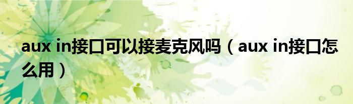 aux in接口可以接麦克风吗（aux in接口怎么用）