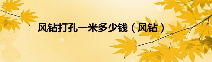 风钻打孔一米多少钱（风钻）